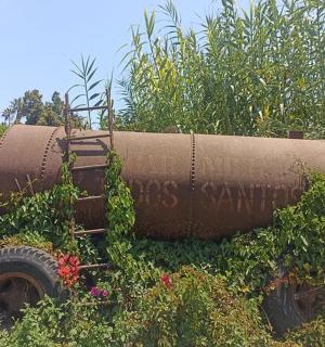 一辆旧卡车上覆盖着植物和鲜花