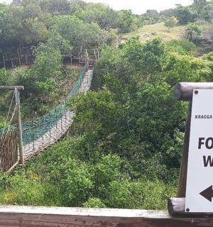 a sign that says forest walk on a bridge