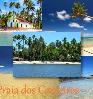 海滩和房屋的拼贴画