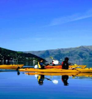 一群人划着皮划艇在水上