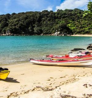 a group of canoes on a beach next to the water