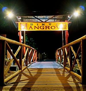 夜晚的一座木桥上有一个王国的标志