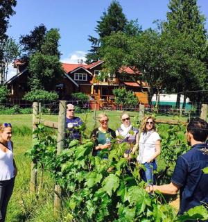 一群人站在菜园里