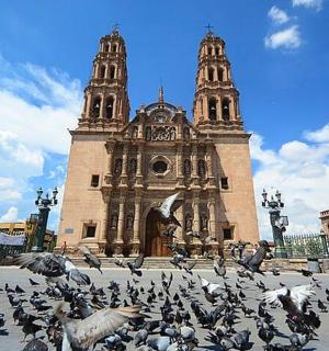 a flock of pigeons in front of a building