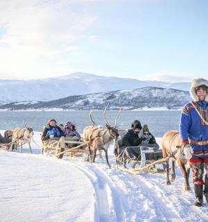一名男子正在拉一辆驯鹿拉的雪橇