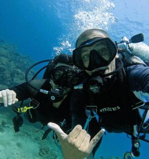 a person in a scuba diver in the water