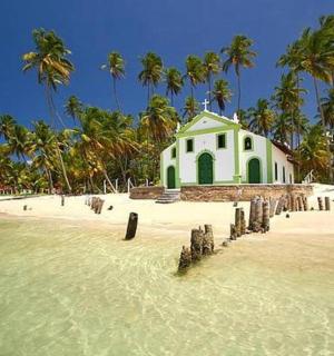 棕榈树环绕的海滩上的白色建筑