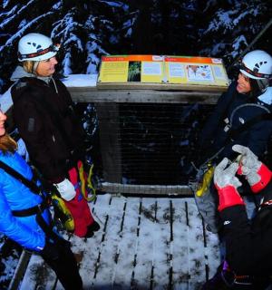 一群人站在雪地里