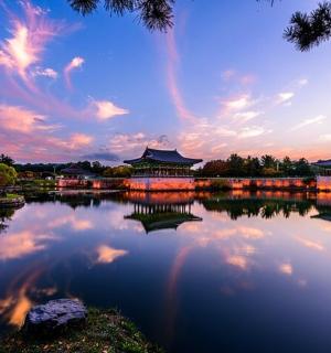 湖景，背景为建筑物