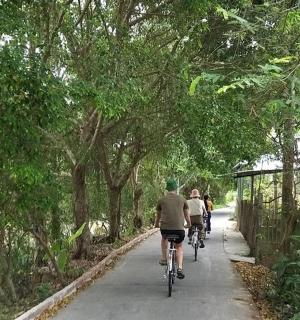 两个人骑着自行车沿着树木繁茂的小路前行