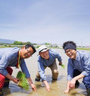 一群人在水中与植物
