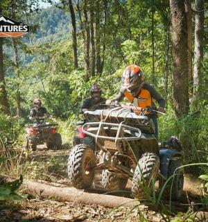 a group of people riding on atvs in the forest