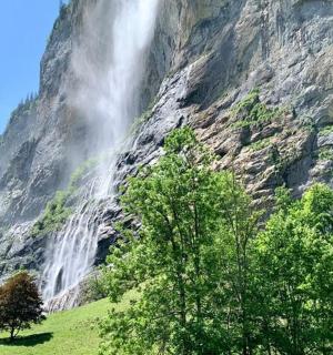 树木繁茂的山坡上的瀑布