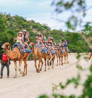 一群人骑在骆驼背上