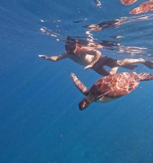 一名男子和一只乌龟在水中游泳