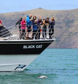 a group of people on a black cat boat in the water