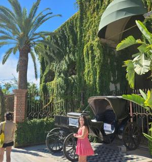 一位身穿粉色连衣裙的女子站在马车旁