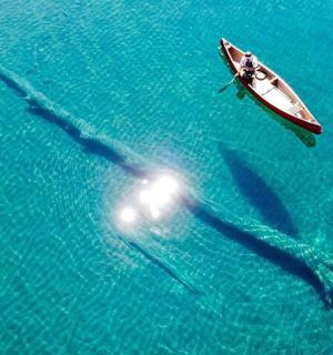 a group of dolphins swimming next to a boat in the water
