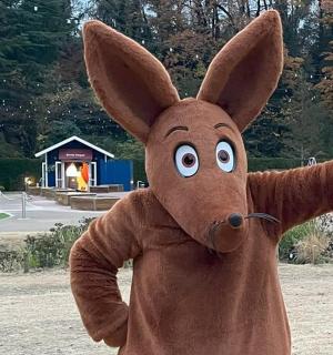 a person dressed in a costume of a rabbit