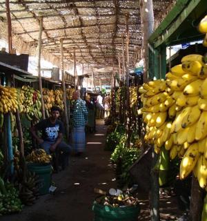 a market with a bunch of bunches of bananas
