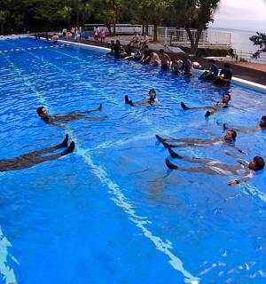 一群人在游泳池里游泳