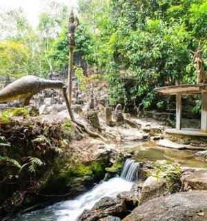 a stream in a forest with a waterfall