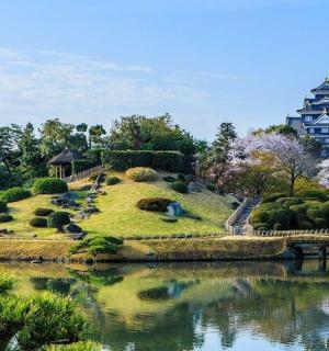 以建筑和湖泊为背景的花园