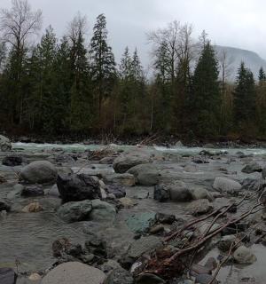 a river with rocks and trees and a mountain