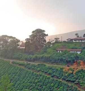 山上的农场和房子