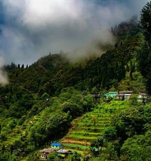 山上房屋的山景