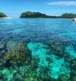 一群人在海里游泳