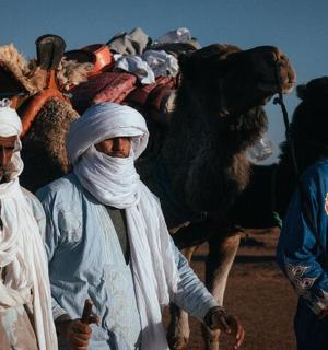 一群人走在骆驼旁边