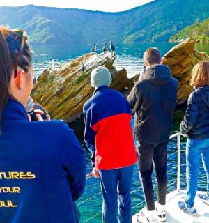 一群人站在码头上看着水