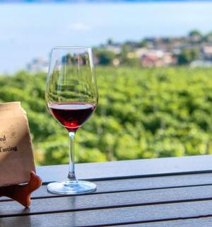 桌上放着一杯酒