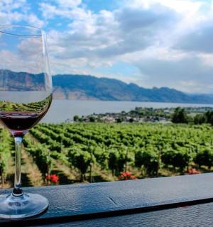 一杯葡萄酒放在俯瞰葡萄园的桌子上