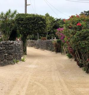 a dirt road with flowers and a stone wall