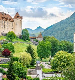 a castle on a hill with a town and trees