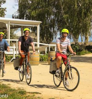 三个男人骑着自行车沿着土路行驶