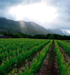 以群山为背景的农田