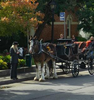a horse drawn carriage on a street with people
