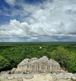 从树木繁茂的石头建筑顶部看到的景色