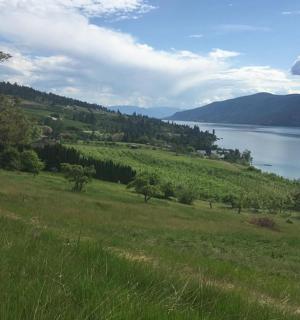 可以看到湖景的草山