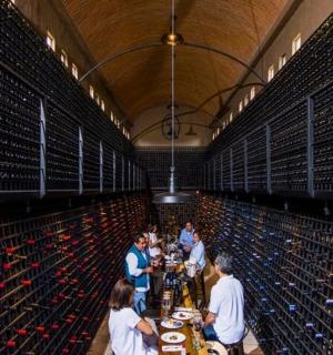 一群人站在酒窖里