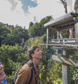 一群人看着一只栖息在标志牌上的鸟