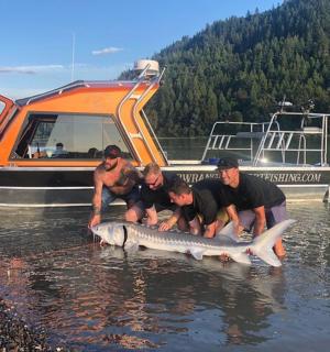 一群男人在水中抱着一条大鱼