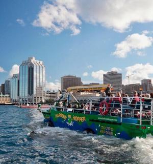 水中的小船，背景是一座城市