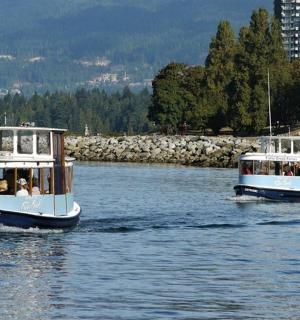 水面上的两艘电车船