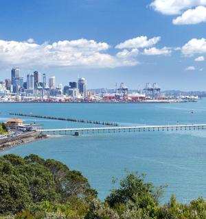 一座城市与水中的码头的景色