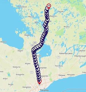 eine Karte mit einer Schlange darauf