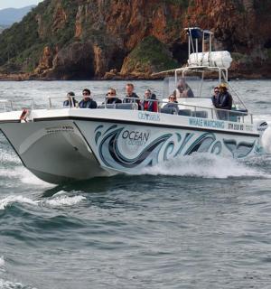 a group of people on a boat in the water